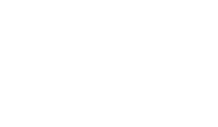 Chartered Management Institute Fellow logo